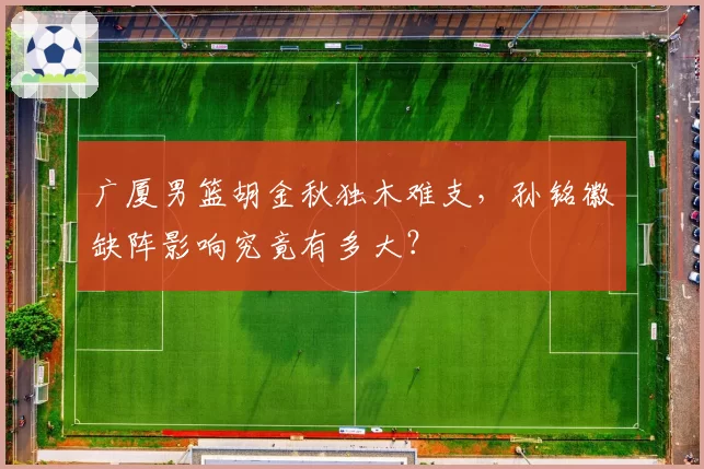 广厦男篮胡金秋独木难支，孙铭徽缺阵影响究竟有多大？