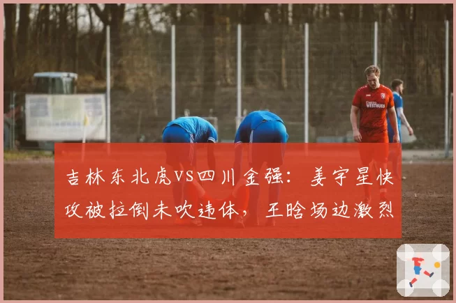 吉林东北虎vs四川金强:姜宇星快攻被拉倒未吹违体,王晗场边激烈理论
