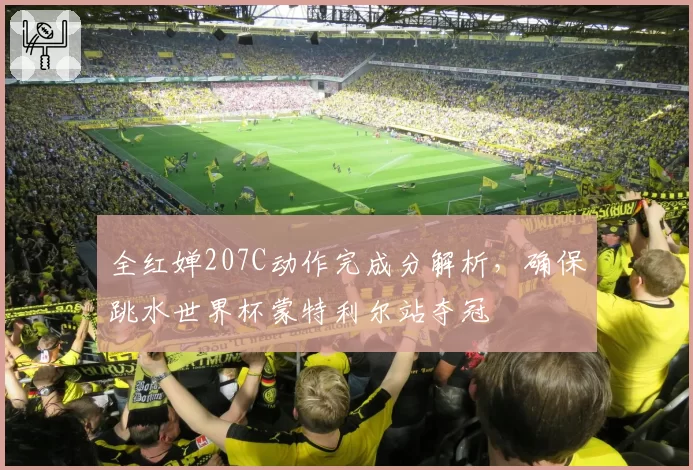 全红婵207C动作完成分解析，确保跳水世界杯蒙特利尔站夺冠