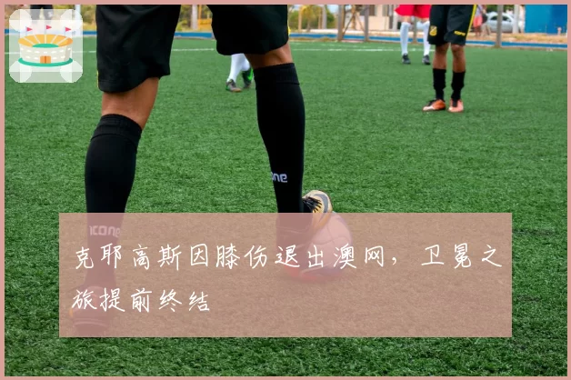 克耶高斯因膝伤退出澳网，卫冕之旅提前终结