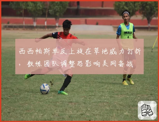 西西帕斯单反上旋在草地威力打折,教练团队调整恐影响美网备战
